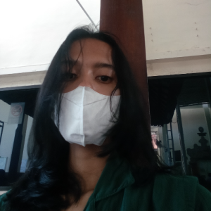 Gusti Ayu Putu Erika Erlina